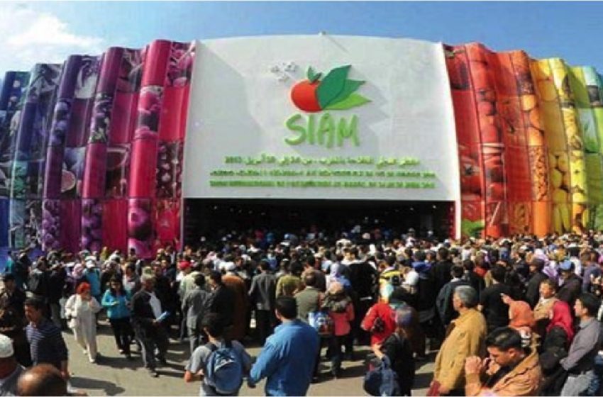 SIAM: la edición de 2023 se celebrará del 2 al 7 de mayo en Mequínez