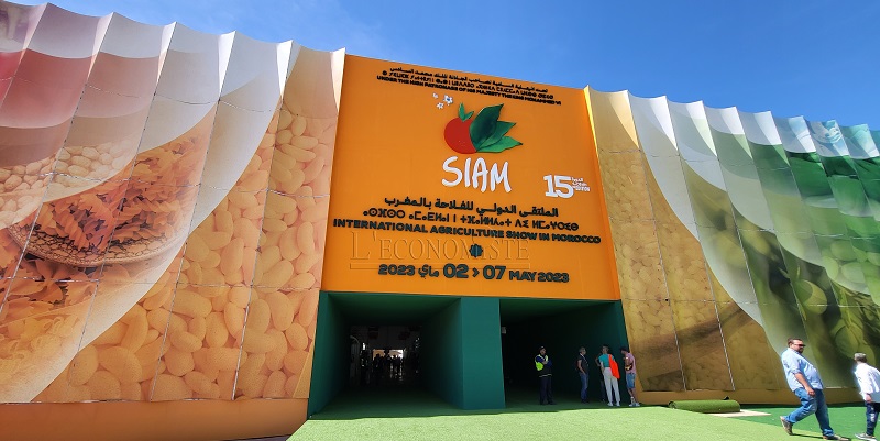  El XV SIAM abre sus puertas al público en general