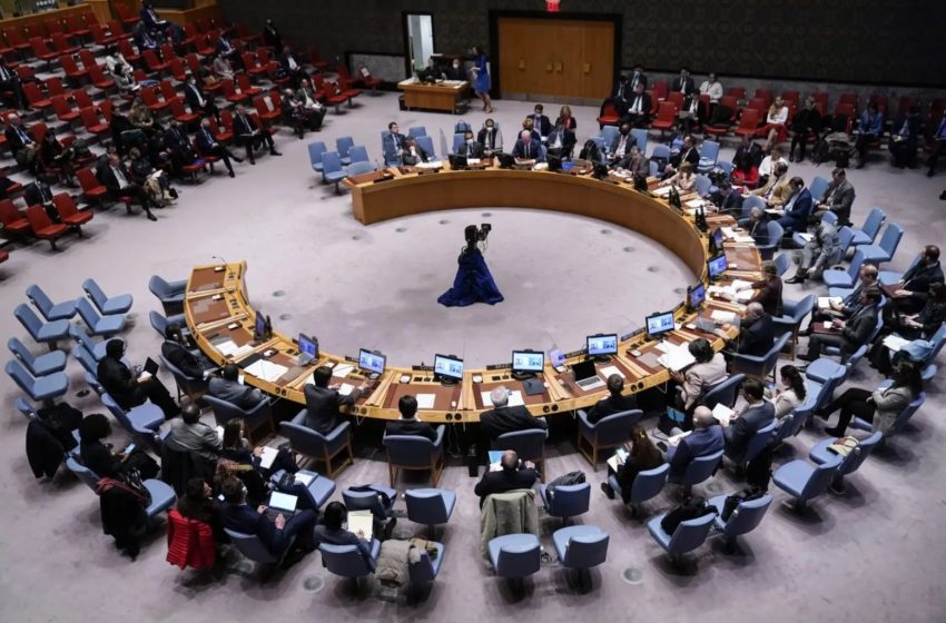  Gaza: El Consejo de Seguridad pide la entrega « inmediata y sin trabas » de la ayuda humanitaria