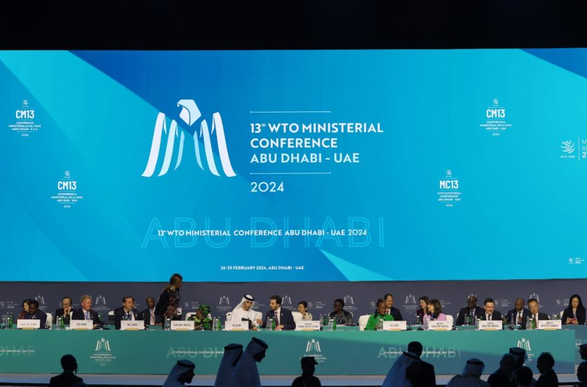  13ª Conferencia de la OMC: Marruecos copatrocina una declaración a favor de la reducción del comercio de plásticos nocivos