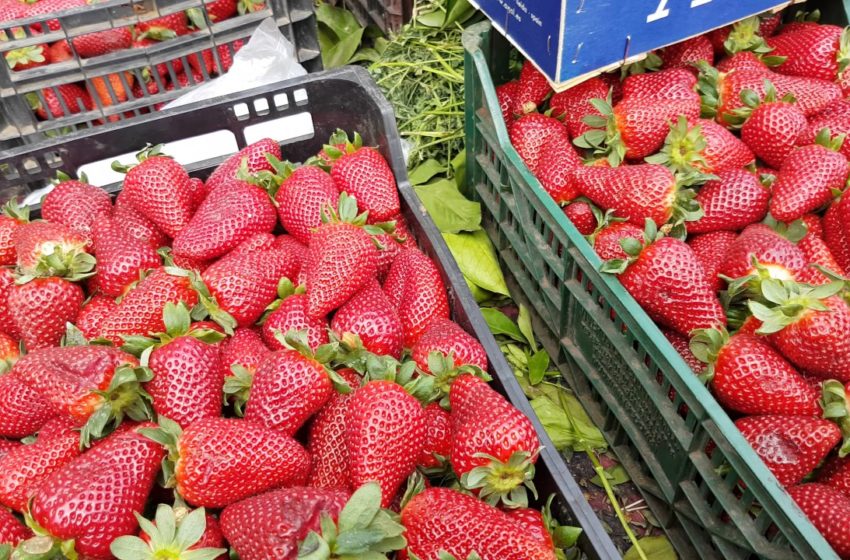  Marruecos desmiente los rumores sobre la contaminación de las fresas marroquíes con la hepatitis A