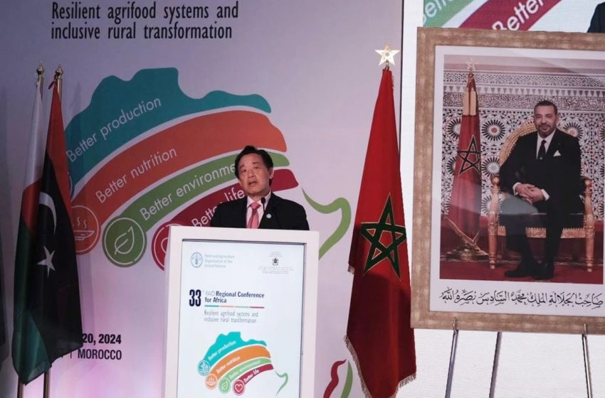  DG de la FAO: Bajo el liderazgo de Su Majestad el Rey, Marruecos ha acumulado una importante experiencia en los sectores agrícola y alimentario