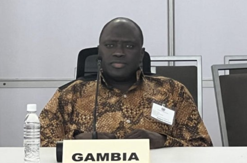  Sáhara/C24: Gambia reafirma su «firme apoyo» a la soberanía e integridad territorial de Marruecos y a la iniciativa de autonomía